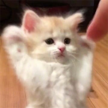 Ảnh đại diện của Đức Anh